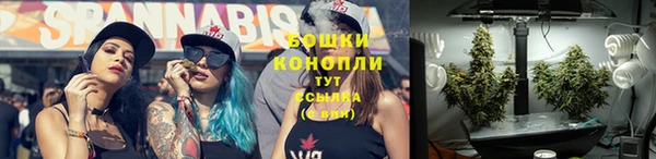 твердый Ростов