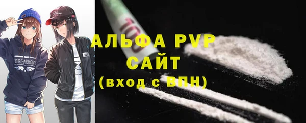крисы Новокубанск
