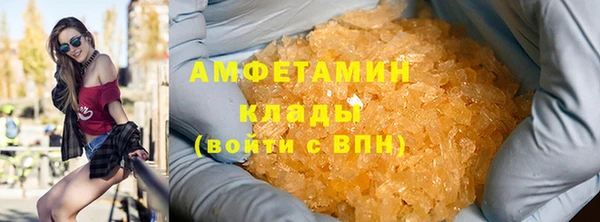 крисы Новокубанск