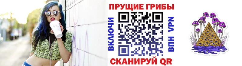 Псилоцибиновые грибы Magic Shrooms  наркошоп  Сортавала 
